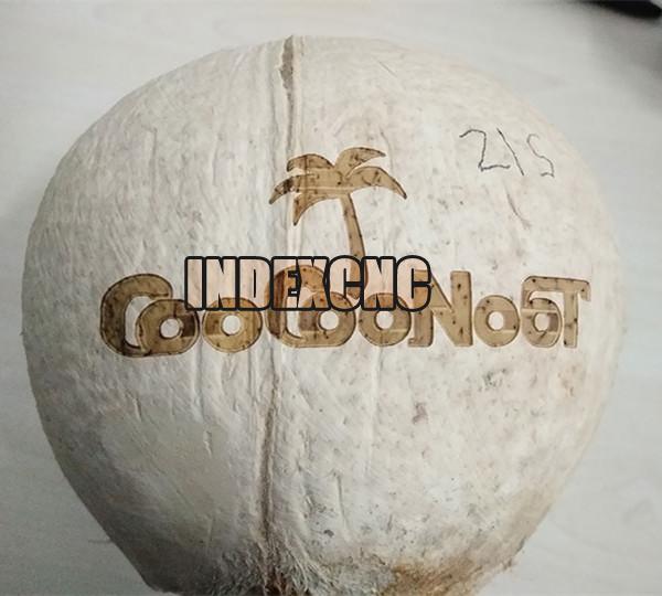 coconut laser marking machine for sale